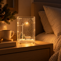 Snowy Street Lamp Night Light