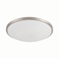 Halo Flush Mount Ceiling Light